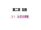 北师大版八年级数学上册 2.1 认识无理数课件PPT
