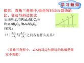 26.1锐角三角函数（2）课件 冀教版数学九年级上册