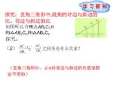26.1锐角三角函数（2）课件 冀教版数学九年级上册