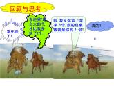 北师大版八年级数学上册 5.2 求解二元一次方程组课件PPT