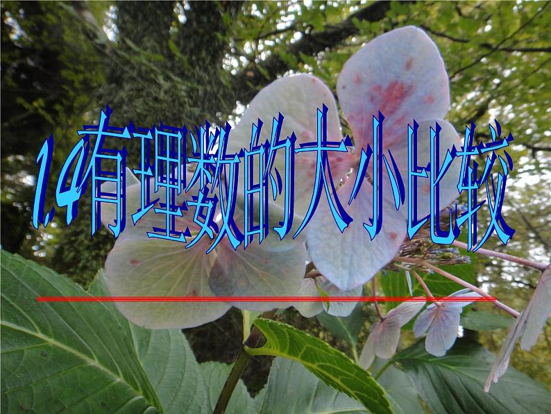 浙教版七年级数学上册1.4 有理数的大小比较 （8）课件01