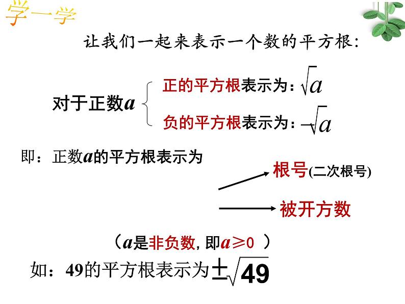 浙教版七年级数学上册3.1 平方根 （1）课件第7页