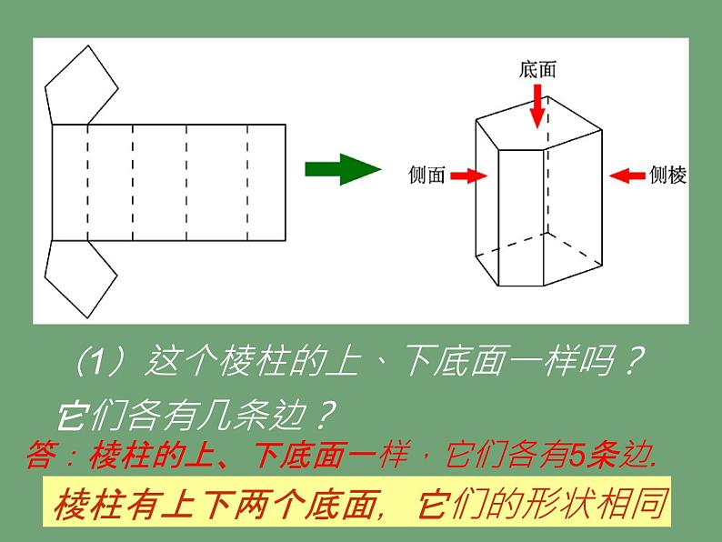 北师大版七年级数学上册 1.2 展开与折叠课件PPT04