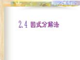 北师大九年级上册数学2.4 分解因式法课件PPT