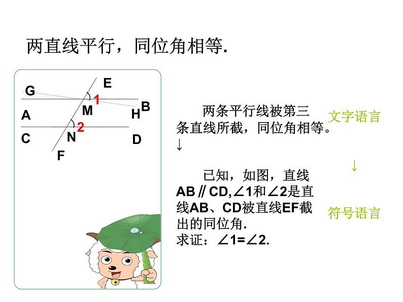 北师大版八年级数学上册 7.4 平行线的性质课件PPT第6页