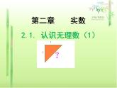 北师大版八年级数学上册 2.1 认识无理数课件PPT