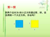 北师大版八年级数学上册 2.1 认识无理数课件PPT