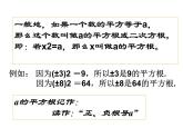 北师大版八年级数学上册 2.2 平方根课件PPT