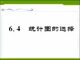 北师大版七年级数学上册 6.4 统计图的选择课件PPT