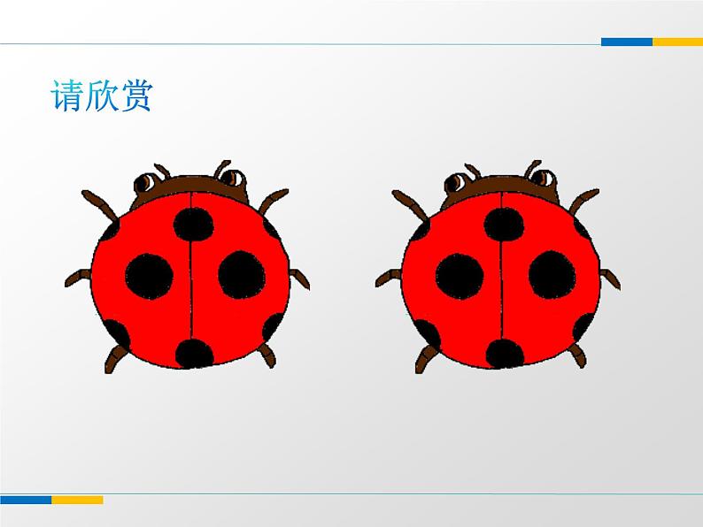 苏科版八年级数学上册 1.2 全等三角形课件PPT02