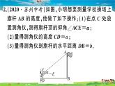 九年级数学下册作业课件（北师大版）1.6 利用三角函数测高