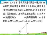 九年级数学下册作业课件（北师大版）1.6 利用三角函数测高