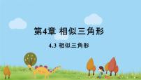 浙教版九年级上册第4章 相似三角形4.3 相似三角形集体备课课件ppt