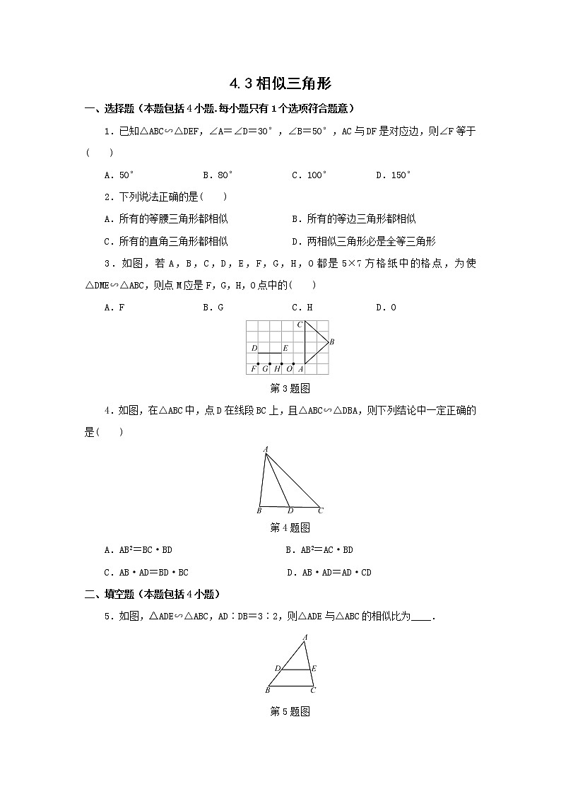 4.3 相似三角形第1页