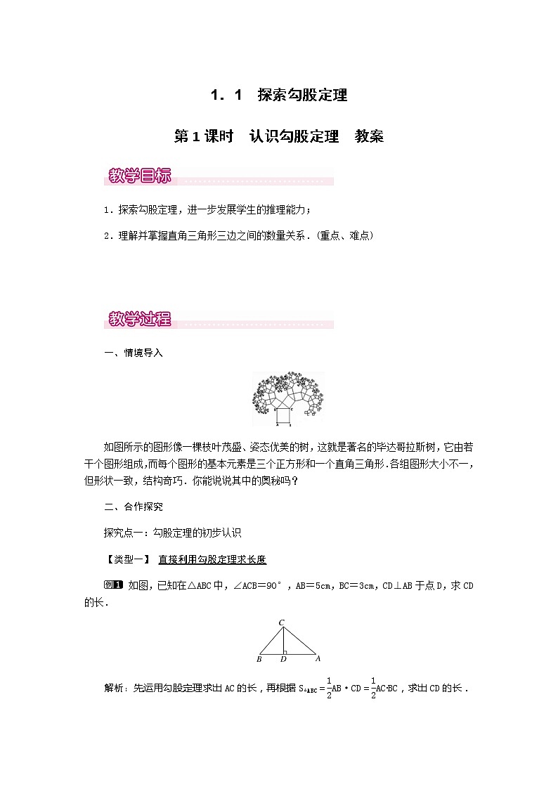 北师大版八年级数学上册-1.1  第1课时 认识勾股定理1-教案01