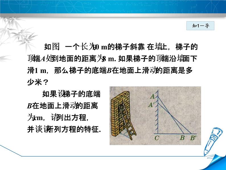 24.1.1认识一元二次方程 课件 冀教版数学九年级上册06