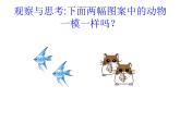 13.2 全等图形（7）（课件）-2021-2022学年数学八年级上册-冀教版