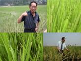12.2 分式的乘除（6）（課件）-2021-2022學(xué)年數(shù)學(xué)八年級(jí)上冊-冀教版