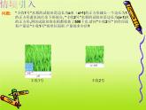12.2 分式的乘除（6）（課件）-2021-2022學(xué)年數(shù)學(xué)八年級(jí)上冊-冀教版