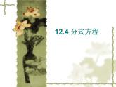 12.4 分式方程（9）（课件）-2021-2022学年数学八年级上册-冀教版