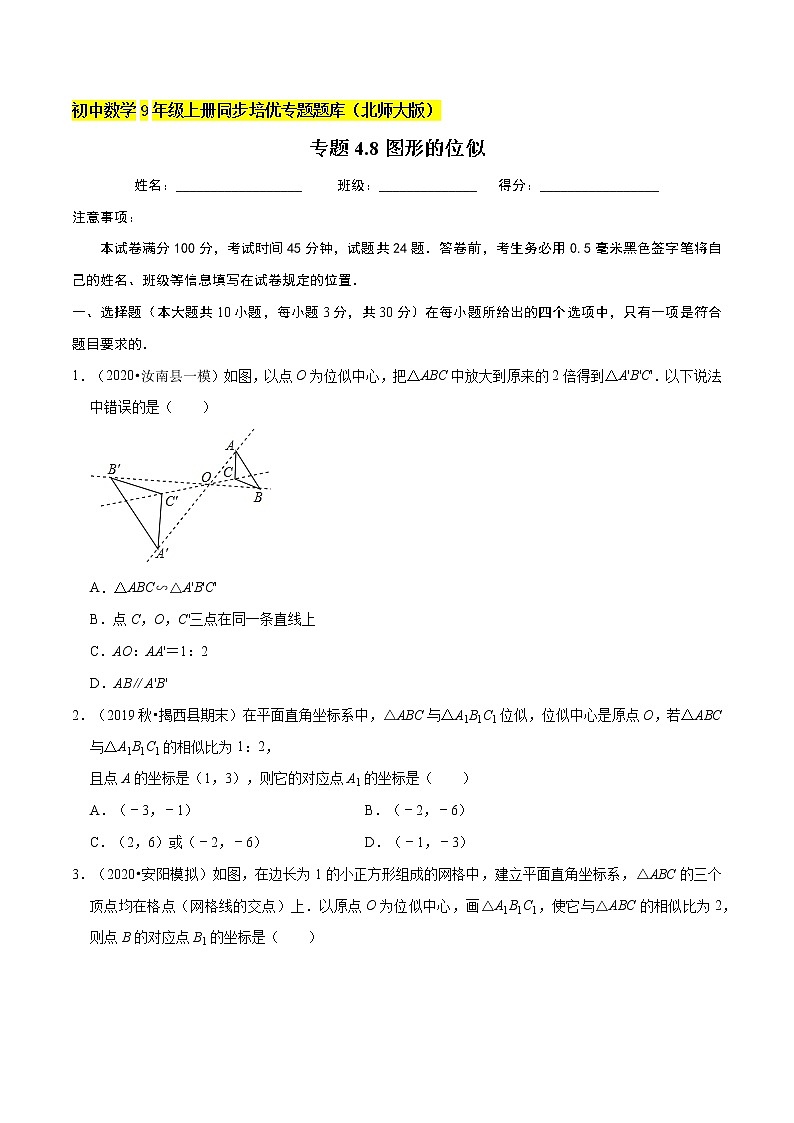 专题4.8图形的位似  新版初中北师大版数学9年级上册同步培优专题01