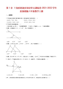 浙教版第1章 三角形的初步知识综合与测试练习题