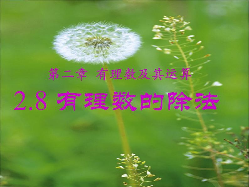 北师大版七年级数学上册 2.8 有理数的除法课件PPT第2页