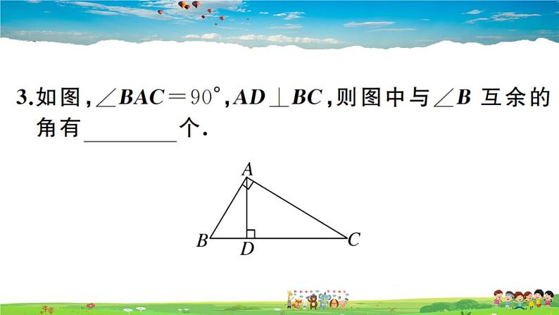 人教版八年级上册习题课件第十一章 三角形11.2.1 第2课时 直角三角形的两锐角互余第4页