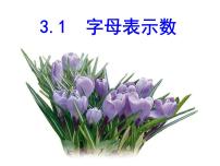 苏科版七年级上册3.1 字母表示数图片ppt课件