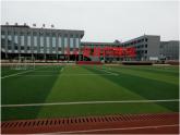 苏科版七年级数学上册 3.4 合并同类项课件PPT