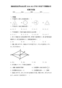 湖南省张家界市永定区2020-2021学年八年级下学期期末考试数学试题（word版 含答案）