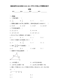 湖南省怀化市会同县2020-2021学年七年级上学期期末数学试题（word版 含答案）