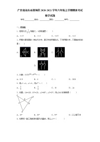 广东省汕头市澄海区2020-2021学年八年级上学期期末考试数学试题（word版 含答案）