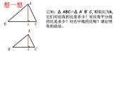 25.5相似三角形法的性質(zhì) 冀教版數(shù)學(xué)九年級(jí)上冊(cè) 課件2