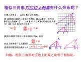 25.5相似三角形法的性質(zhì) 冀教版數(shù)學(xué)九年級(jí)上冊(cè) 課件2