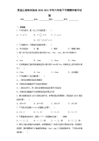 黑龙江省哈尔滨市2020-2021学年八年级下学期期中数学试题（word版 含答案）