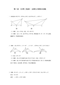 数学八年级上册第一章 全等三角形综合与测试课后练习题