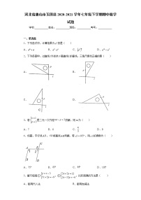 河北省唐山市玉田县2020-2021学年七年级下学期期中数学试题（word版 含答案）