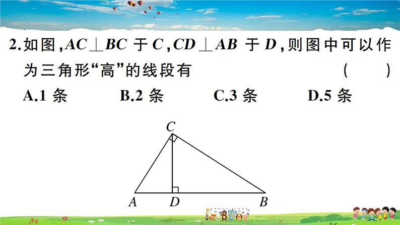 人教版八年级上册习题课件第十一章 三角形11.2 三角形的高、中线与角平分线05