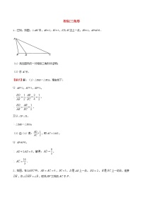 中考数学压轴题专项训练14相似三角形含解析