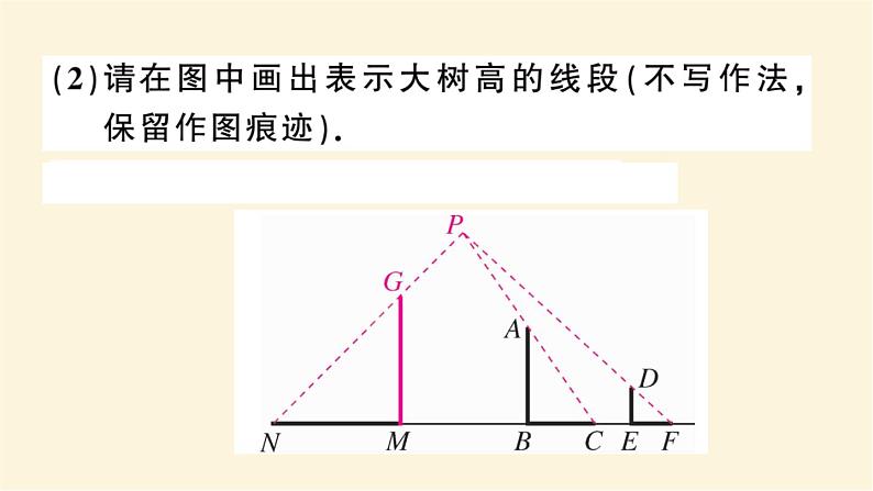 九年级数学下册投影与视图中的易错问题作业课件沪科版04