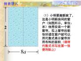 4.1 整式（4）（课件）数学七年级上册-冀教版