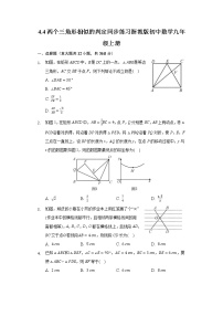 初中数学浙教版九年级上册4.4 两个三角形相似的判定综合训练题