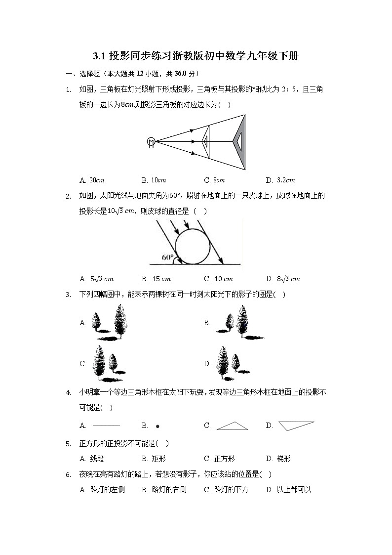 3.1投影 同步练习浙教版初中数学九年级下册第1页