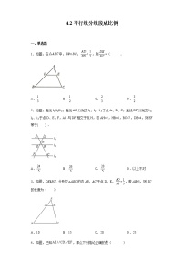 北师大版2 平行线分线段成比例课后练习题