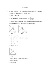 中考数学二轮复习压轴专题：三角形（含解析）学案