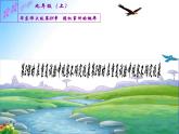 用計(jì)算器做模擬試驗(yàn)PPT課件免費(fèi)下載