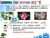 用計(jì)算器做模擬試驗(yàn)PPT課件免費(fèi)下載