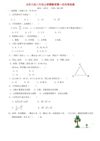 北师大版数学八年级上册第一次月考试卷+答案