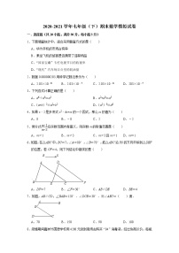 浙江省宁波市鄞州区七年级下学期期末数学模拟试卷